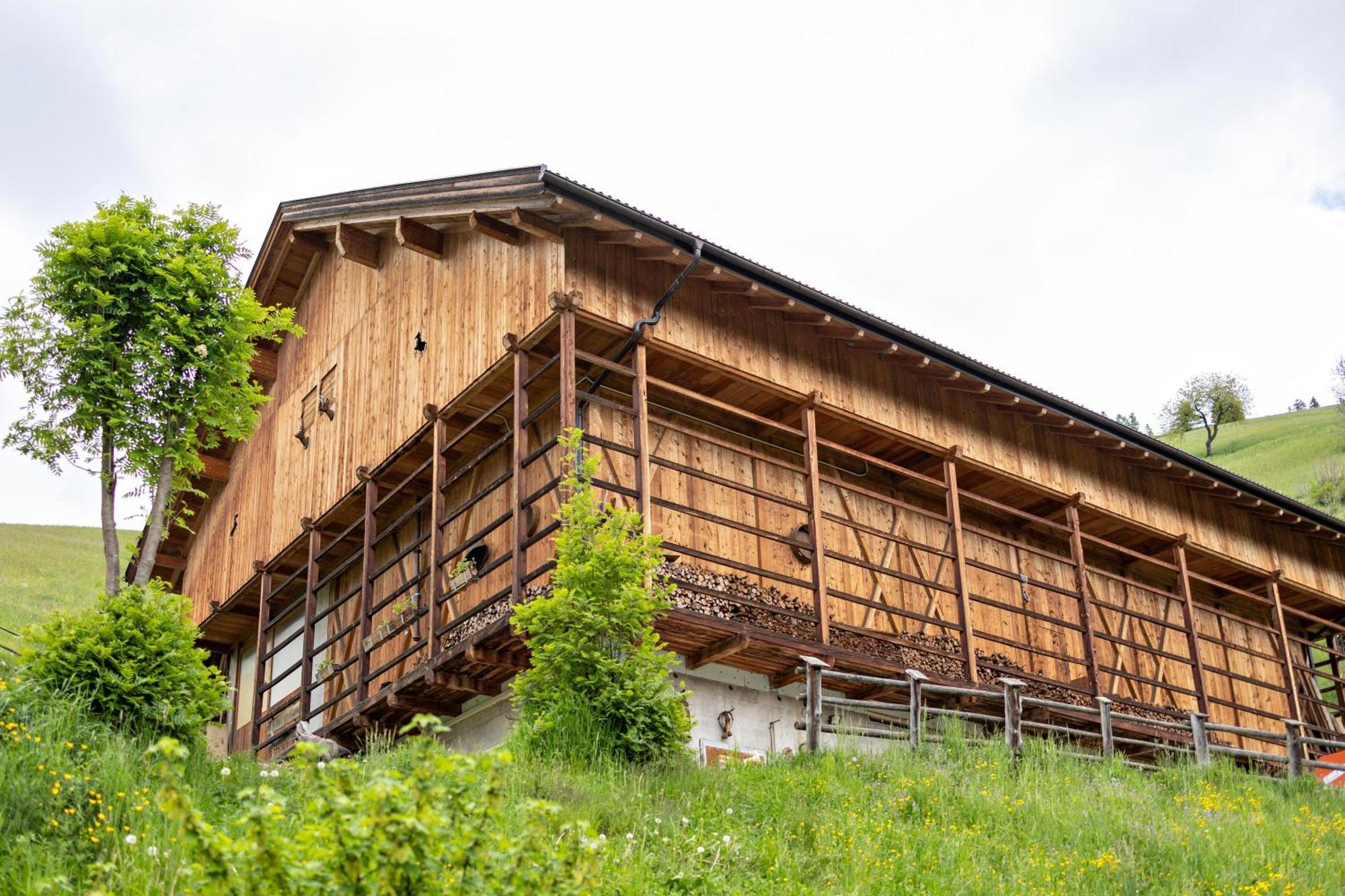 Bolser App Plan De Corones San Vigilio Di Marebbe Ruang foto